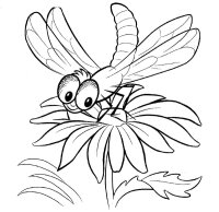 Libelula