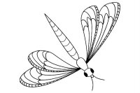 Libelula