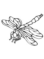 Libelula