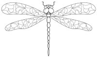 Libelula