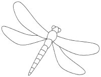 Libelula