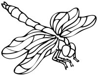 Libelule
