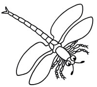 Libelula