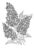 Liliac