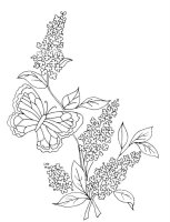 Liliac