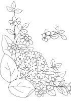 Liliac