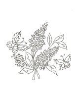 Liliac