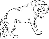 Lup