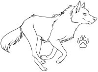 Lup
