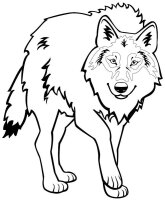 Lup