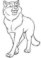 Lup