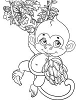 Maimuta