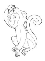 Maimuta