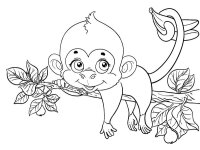 Maimuta