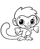 Maimuta