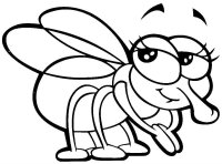 Musca