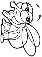 Musca