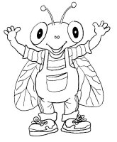 Musca