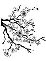 Crengi