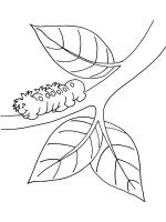 Ramura de copac