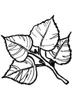 Ramura de copac