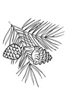 Ramura de copac
