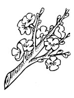 Ramura de copac
