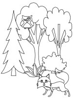 Paduri