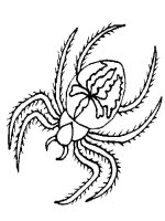 Paianjen