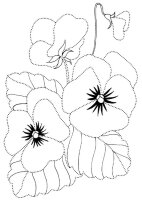 Panselute