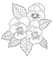 Panselute
