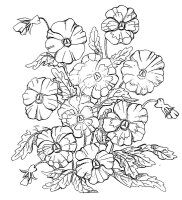 Panselute