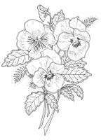 Panselute