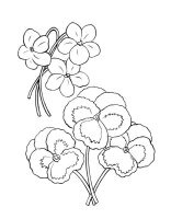 Panselute