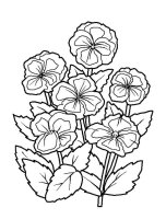 Panselute