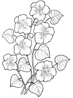 Panselute