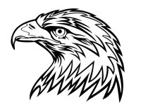 Pasari