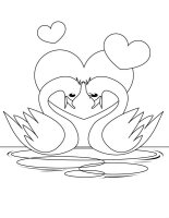 Pasari