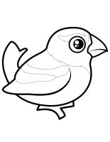 Pasari