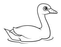 Pasari