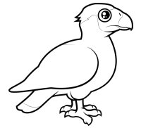 Pasari
