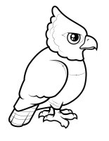 Pasari