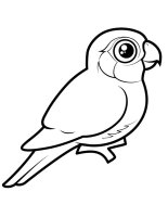 Pasari