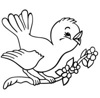 Pasari