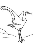 Pasari calatoare