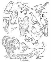 Pasari calatoare