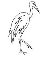 Pasari calatoare