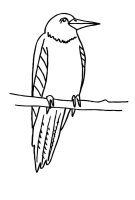 Pasari calatoare