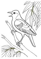 Pasari calatoare