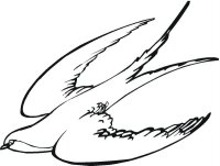 Pasari calatoare
